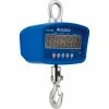 Global Industrial™ LED Digital Crane Scale With Remote, 500 lb x 0.2 lb -Scales Sales 2022 412604