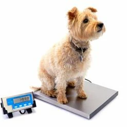 Brecknell LPS15 Bench Digital Scale 30lb x 0.01lb, 15" x 12" x 1" Platform -Scales Sales 2022 816965004799 7